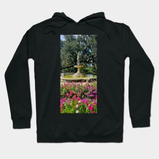 Historic Elegance: Gumbel Memorial Fountain in Audubon Park Hoodie